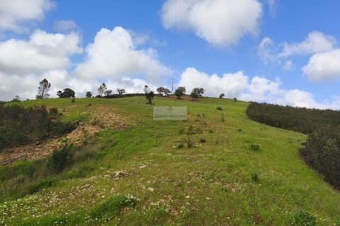 Farm hus i Monchique, Faro, Monchique - € 291.000 | Ref: Q0073 - foto 7