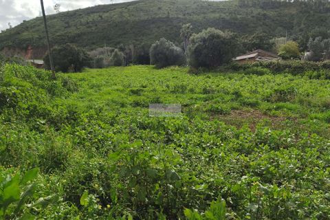 Farm hus i Monchique, Faro, Monchique - € 291.000 | Ref: Q0073 - foto 9