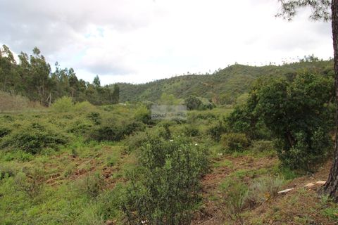 Farm hus i Monchique, Faro, Monchique - € 298.000 | Ref: Q0076 - foto 7