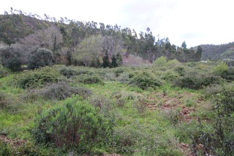 Farm hus i Monchique, Faro, Monchique - € 298.000 | Ref: Q0076 - foto 8