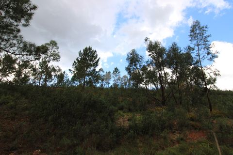 Farm hus i Monchique, Faro, Monchique - € 298.000 | Ref: Q0076 - foto 10
