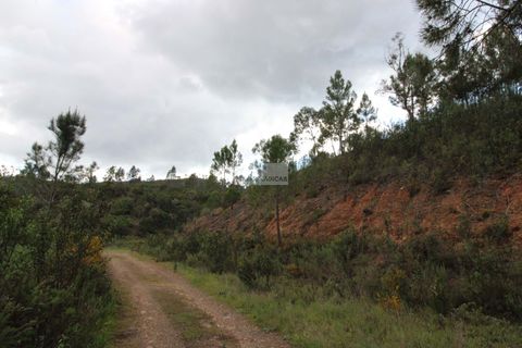 Farm hus i Monchique, Faro, Monchique - € 298.000 | Ref: Q0076 - foto 12