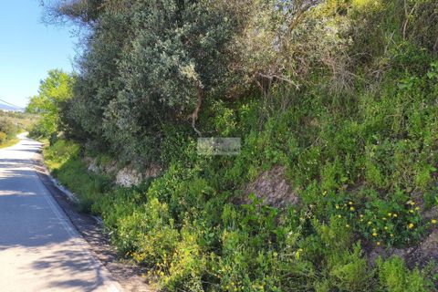 Helårsgrund i Lagos, Faro, Lagos - € 120.000 | Ref: T0498 - foto 2