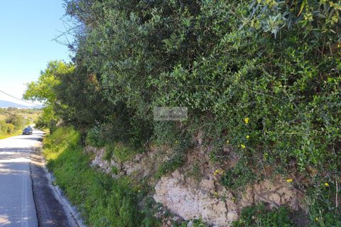 Helårsgrund i Lagos, Faro, Lagos - € 120.000 | Ref: T0498 - foto 3