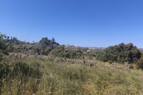 Helårsgrund i Lagos, Faro, Lagos - € 120.000 | Ref: T0498 - foto 6
