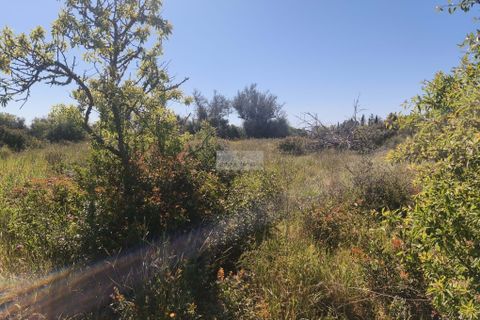 Helårsgrund i Lagos, Faro, Lagos - € 120.000 | Ref: T0498 - foto 7