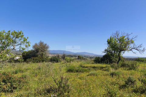 Helårsgrund i Lagos, Faro, Lagos - € 120.000 | Ref: T0498 - foto 9