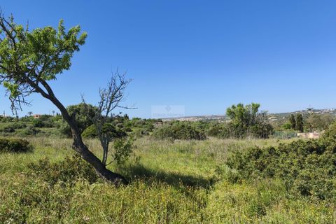 Helårsgrund i Lagos, Faro, Lagos - € 120.000 | Ref: T0498 - foto 11