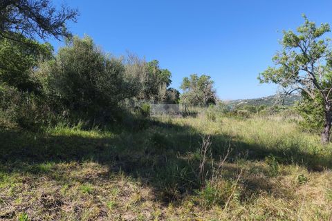 Helårsgrund i Lagos, Faro, Lagos - € 120.000 | Ref: T0498 - foto 13