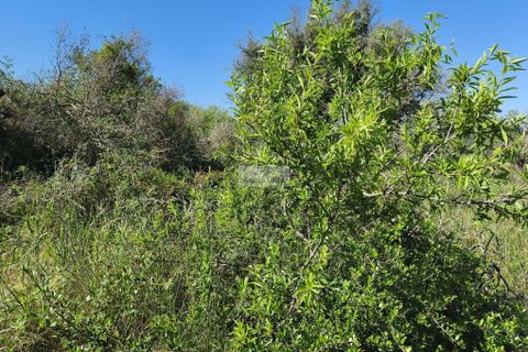 Helårsgrund i Lagos, Faro, Lagos - € 120.000 | Ref: T0498 - foto 15