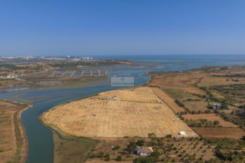 Helårsgrund i Lagos, Faro, Lagos - € 550.000 | Ref: T0500 - foto 14