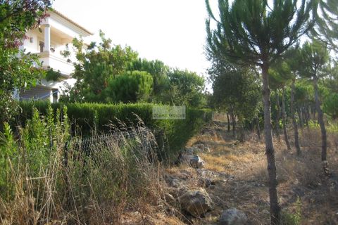 Ruinere i Sagres, Faro, Sagres - € 260.000 | Ref: R0084 - foto 2
