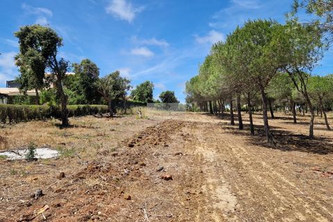 Ruinere i Sagres, Faro, Sagres - € 260.000 | Ref: R0084 - foto 7