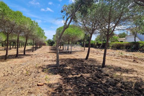 Ruinere i Sagres, Faro, Sagres - € 260.000 | Ref: R0084 - foto 8