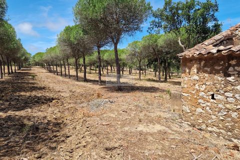 Ruinere i Sagres, Faro, Sagres - € 260.000 | Ref: R0084 - foto 9