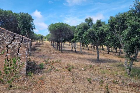 Ruinere i Sagres, Faro, Sagres - € 260.000 | Ref: R0084 - foto 10
