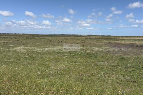 Terra a Sagres, Faro, Sagres - € 35.000 | Ref: T0503 - foto 4