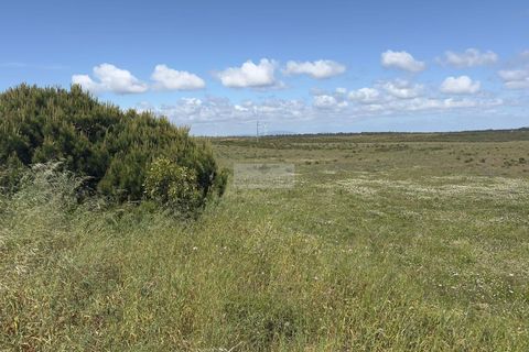 Terra a Sagres, Faro, Sagres - € 35.000 | Ref: T0503 - foto 5