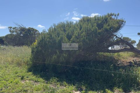 Terra a Sagres, Faro, Sagres - € 35.000 | Ref: T0503 - foto 7