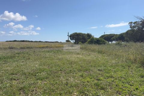 Terra a Sagres, Faro, Sagres - € 35.000 | Ref: T0503 - foto 8