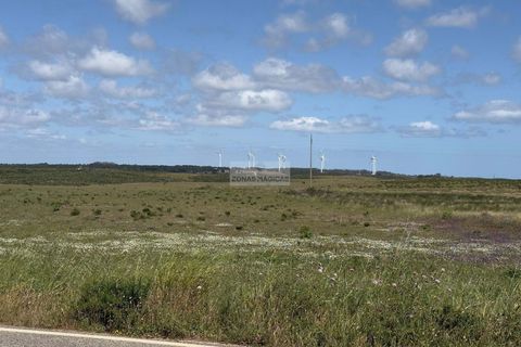 Terra a Sagres, Faro, Sagres - € 35.000 | Ref: T0503 - foto 11