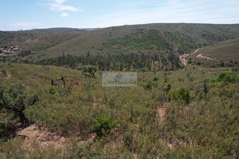 Helårsgrund i Sagres, Faro, Sagres - € 145.000 | Ref: T0506 - foto 2