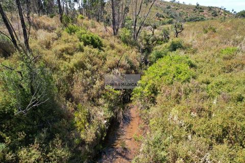 Helårsgrund i Sagres, Faro, Sagres - € 145.000 | Ref: T0506 - foto 3