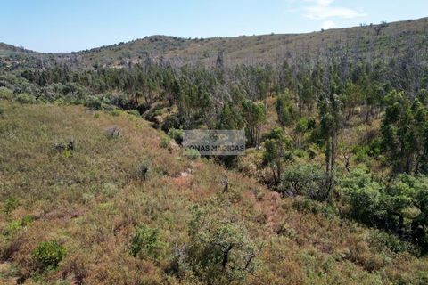 Helårsgrund i Sagres, Faro, Sagres - € 145.000 | Ref: T0506 - foto 5