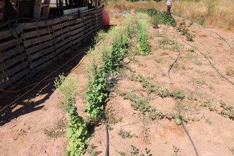 Ruïna a Monchique, Faro, Monchique - € 155.000 | Ref: R0086 - foto 12