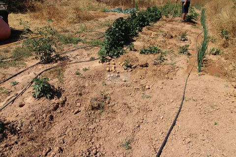 Ruïna a Monchique, Faro, Monchique - € 155.000 | Ref: R0086 - foto 13