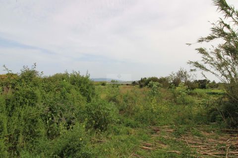 Helårsgrund i Lagos, Faro, Lagos - € 220.000 | Ref: T0512 - foto 9
