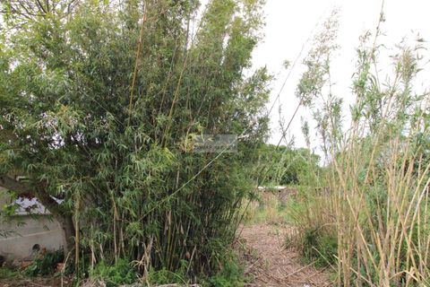 Helårsgrund i Lagos, Faro, Lagos - € 220.000 | Ref: T0512 - foto 10