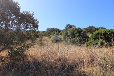 Helårsgrund i Lagos, Faro, Lagos - € 90.000 | Ref: T0517 - foto 4