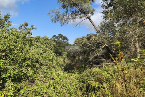Helårsgrund i Lagos, Faro, Lagos - € 29.000 | Ref: T0526 - foto 3
