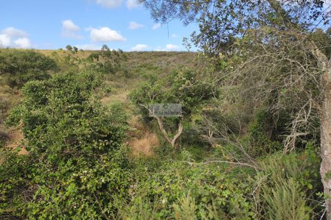 Helårsgrund i Lagos, Faro, Lagos - € 29.000 | Ref: T0526 - foto 4