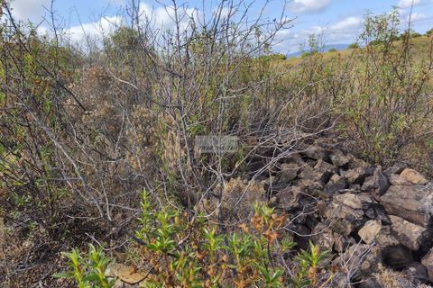 Helårsgrund i Lagos, Faro, Lagos - € 29.000 | Ref: T0526 - foto 5