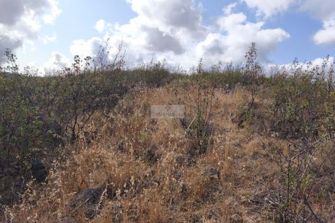 Helårsgrund i Lagos, Faro, Lagos - € 29.000 | Ref: T0526 - foto 7