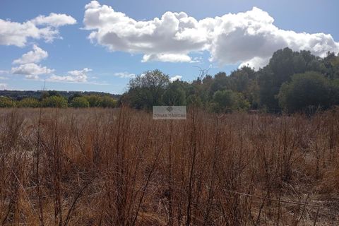 Helårsgrund i Lagos, Faro, Lagos - € 55.000 | Ref: T0529 - foto 3