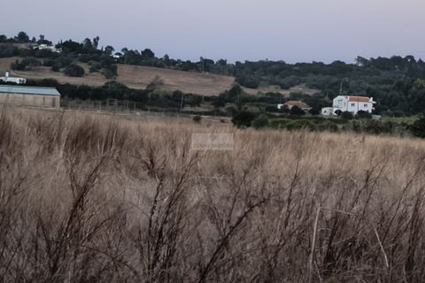 Helårsgrund i Lagos, Faro, Lagos - € 55.000 | Ref: T0529 - foto 4
