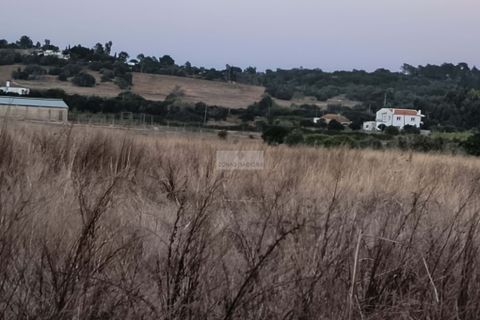 Helårsgrund i Lagos, Faro, Lagos - € 55.000 | Ref: T0529 - foto 6