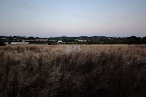 Helårsgrund i Lagos, Faro, Lagos - € 55.000 | Ref: T0529 - foto 8