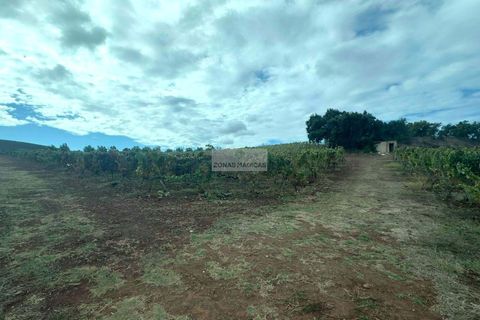 Ruin i Lagos, Faro, Lagos - € 500 000 | Ref: R0094 - foto 5