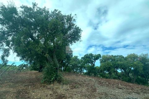 Ruin i Lagos, Faro, Lagos - € 500 000 | Ref: R0094 - foto 9