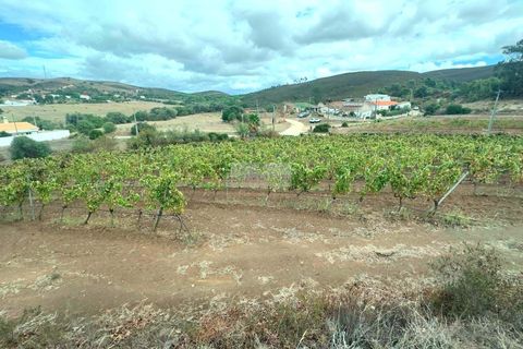 Ruin i Lagos, Faro, Lagos - € 500 000 | Ref: R0094 - foto 11
