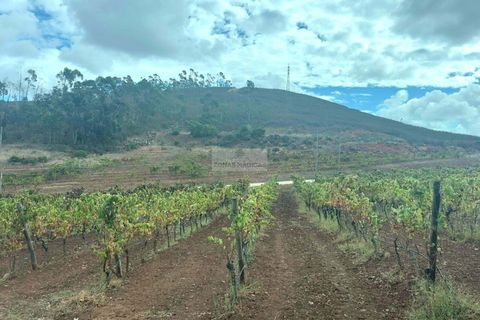 Ruin i Lagos, Faro, Lagos - € 500 000 | Ref: R0094 - foto 13