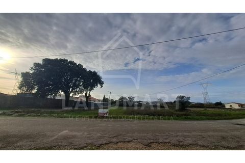 Helårsgrund i Benedita, Leiria, Benedita - € 57.500 | Ref: TE1603 - foto 7