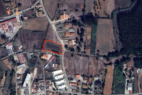Helårsgrund i Benedita, Leiria, Benedita - € 57.500 | Ref: TE1603 - foto 8