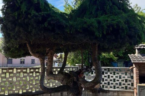 Villa a Villata, Vercelli, Villata - € 165.000 | Ref: 1022641 - foto 5