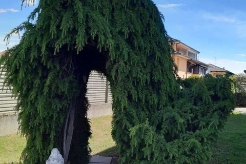 Villa a Villata, Vercelli, Villata - € 165.000 | Ref: 1022641 - foto 10