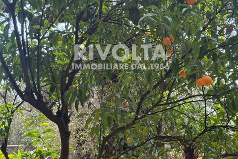 Villa a Sperlonga, Latina, Sperlonga - € 1.000.000 | Ref: DB Sperlonga - foto 6